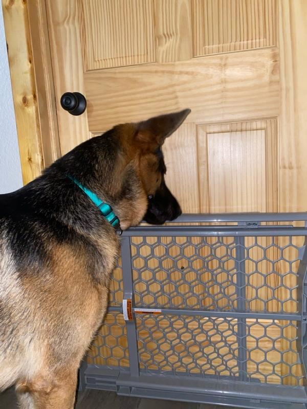 Expandable Plastic Dog Gate - Pet Gate