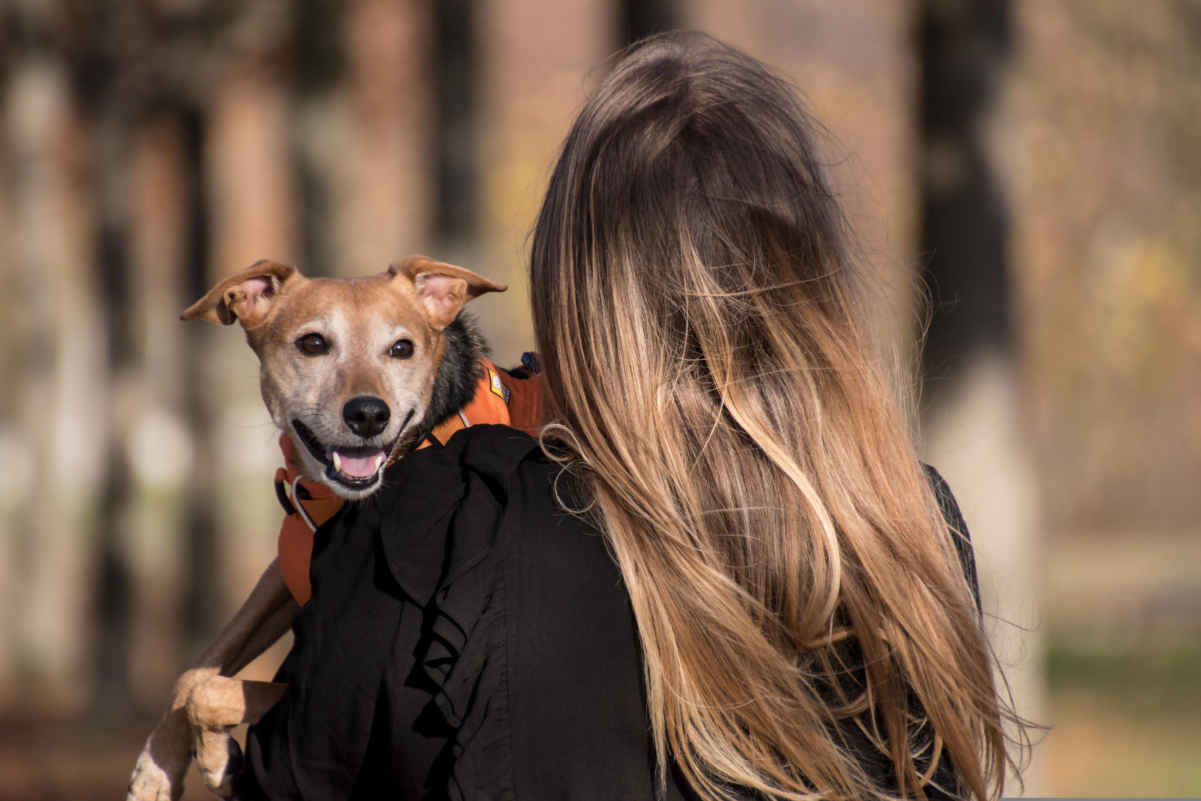slider image 1621243260e1af0c20-0